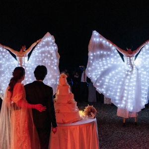 Farfalle Luminose Taglio Torta sposi matrimonio