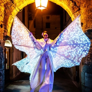 Farfalla Luminosa per eventi e feste di paese e notti bianche