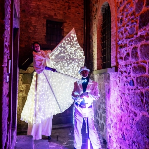 Parata di Farfalle Led