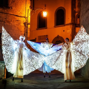 Spettacolo WOW con Farfalle Luminose