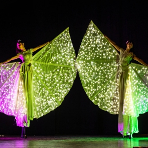Danza con Farfalle Luminose