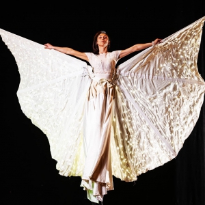 Farfalla Elegante