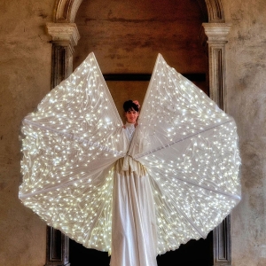 Spettacolo Farfalla Luminosa per eventi aziendali e notti bianche