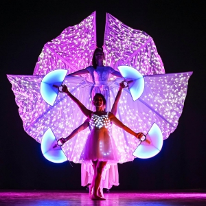 Farfalle Luminose  Artisti luminosi