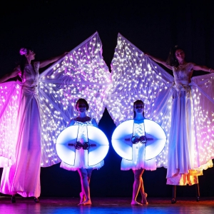 Farfalle Luminose e Artisti LED
