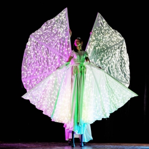 Farfalle Luminose WOW factor